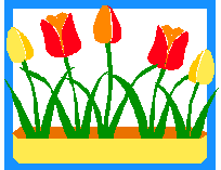 Tulips in a Pot